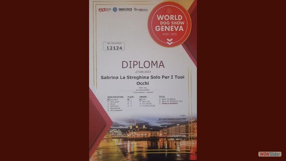 diploma sabrina wds 2023