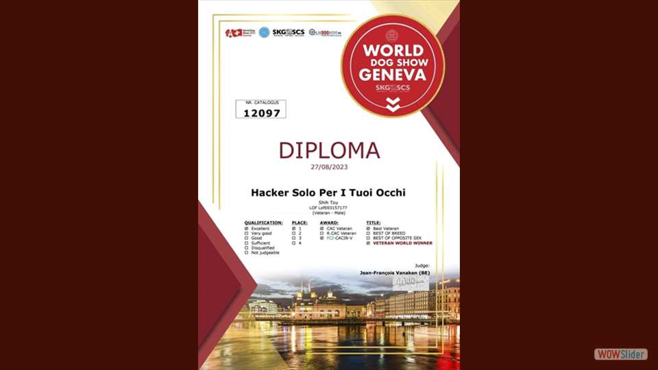 diploma-world-winner-hacker