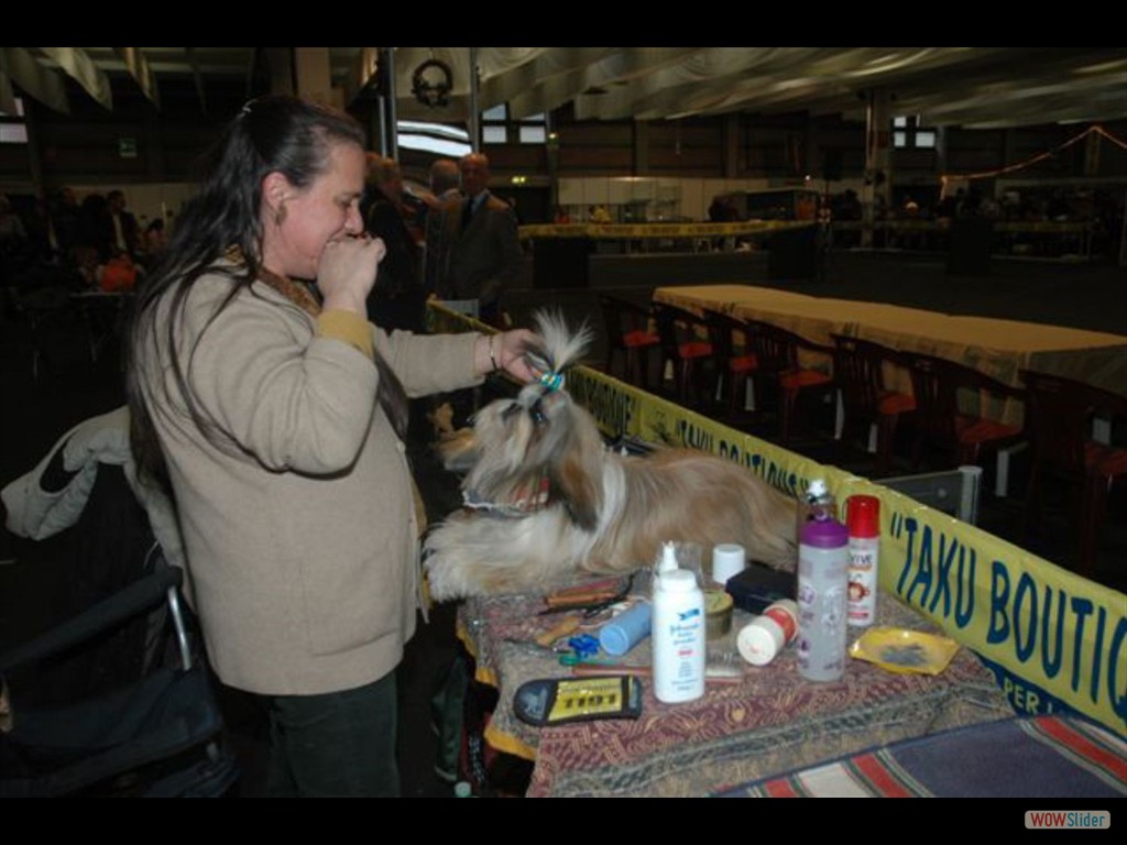 Mostra_canina_ErbaCO__13_12_2009_012