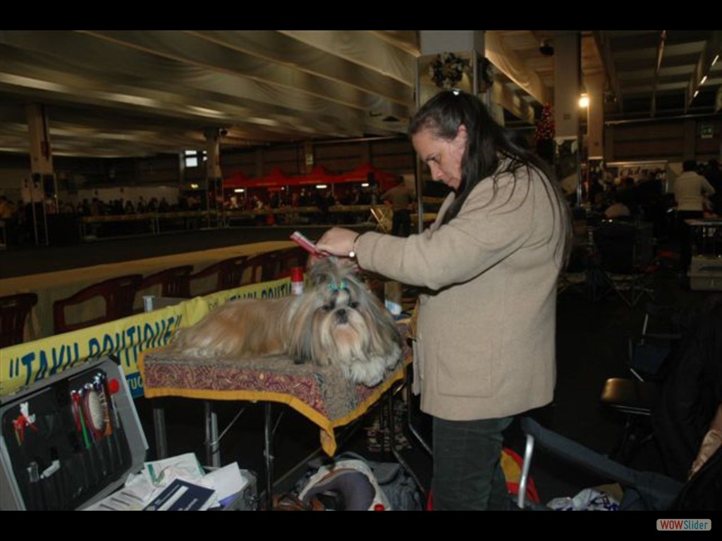 Mostra_canina_ErbaCO__13_12_2009_014