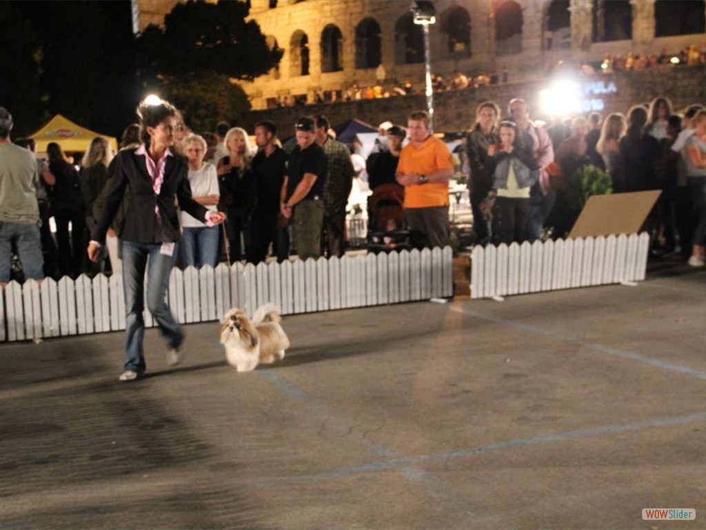 nationalshowdog_pula18