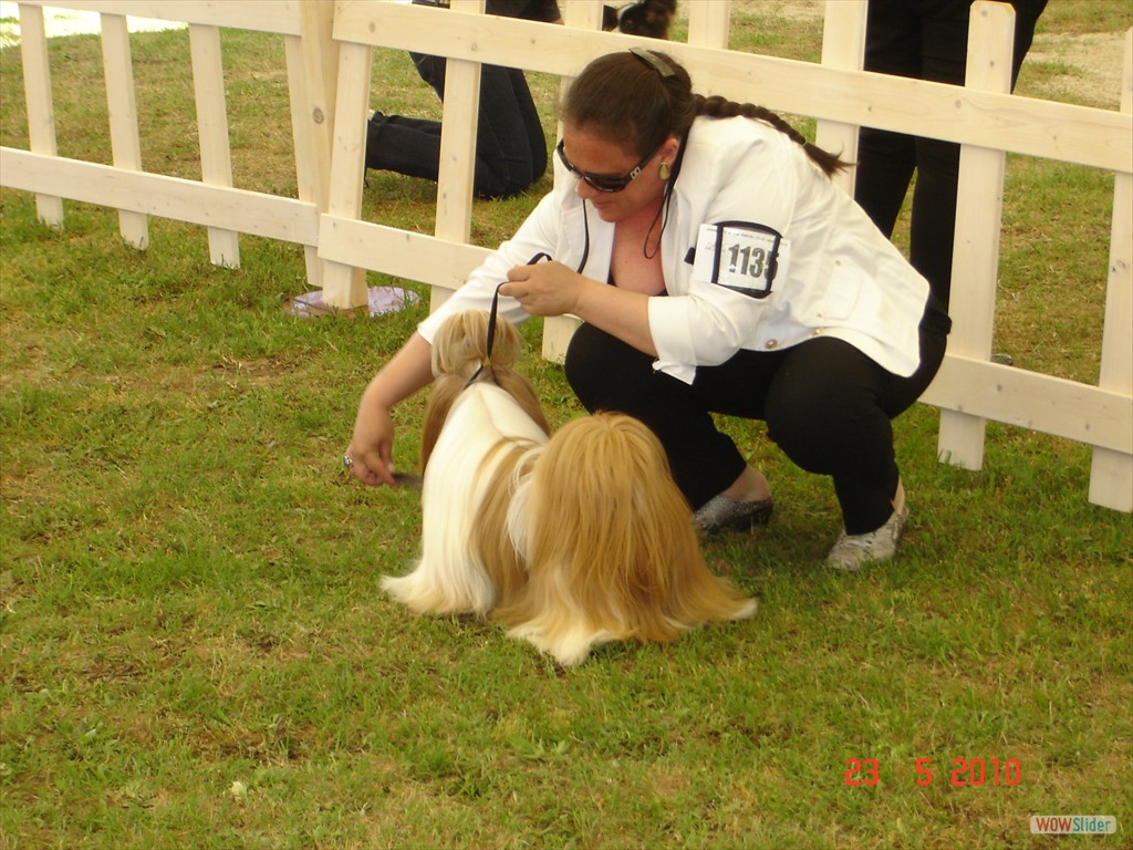 PERFEC STYLE DI CASA CORSINI-  BEST JUNIOR MALE