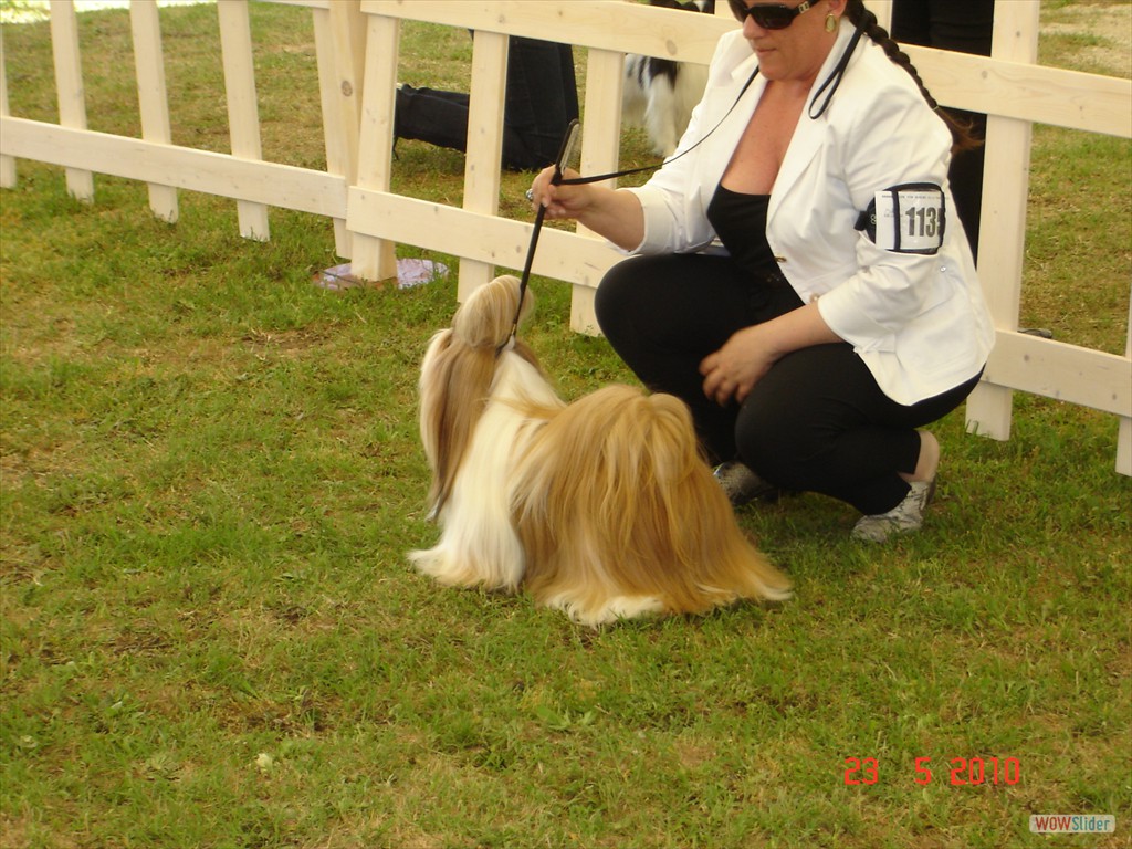 PERFEC STYLE DI CASA CORSINI-  BEST JUNIOR MALE