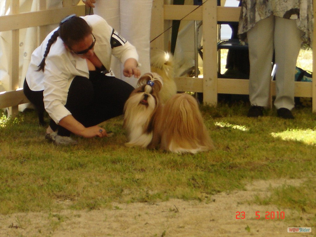 PERFEC STYLE DI CASA CORSINI-  BEST JUNIOR MALE