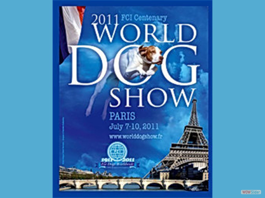 WDS_2011_Paris